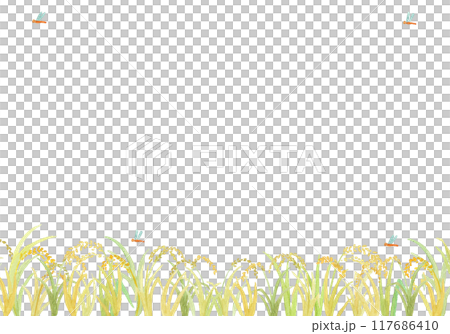 水彩絵の具で描いた稲穂の背景 117686410