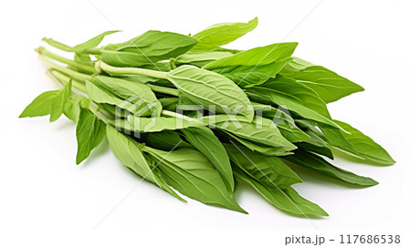Fresh Herbal Plant Andrographis Paniculata Leaves  Generate AI 117686538