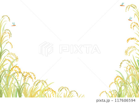 水彩絵の具で描いた稲穂の背景 水彩絵の具で描いた稲穂の背景 117686594