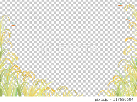 用水彩畫的稻穗背景 117686594
