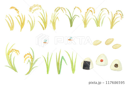 水彩絵の具で描いた稲穂とおにぎりセット 水彩絵の具で描いた稲穂とおにぎりセット 117686595