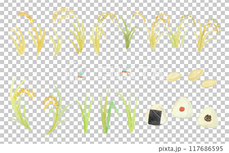 水彩畫的稻穗和飯糰套裝 117686595