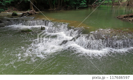 Asia, Atmospheric Mood, Awe, Beauty, Branch - Plant Part Asia, Atmospheric Mood, Awe, Beauty, Branch - Plant Part 117686597
