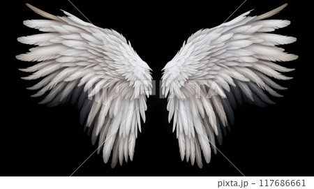 Wings isolated  black background , Generate AI 117686661