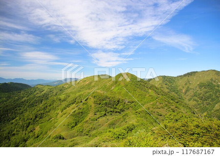 白砂山 117687167