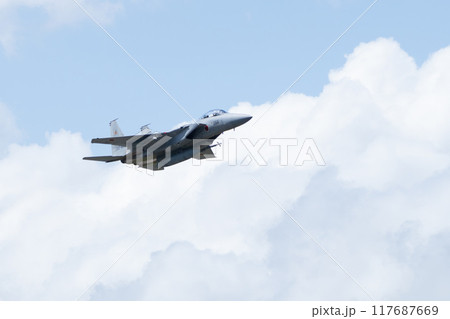 航空自衛隊 F-15DJ イーグル 航空自衛隊 F-15DJ イーグル 117687669