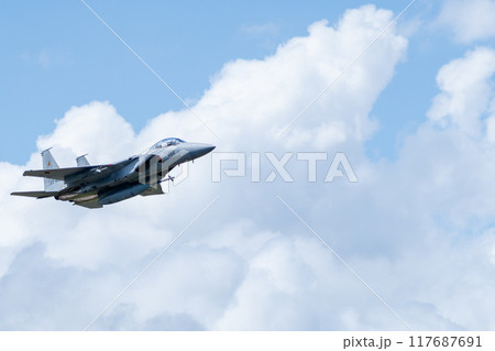 航空自衛隊 F-15DJ イーグル 117687691