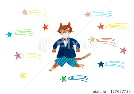 手描き水彩　猫と流れ星 117687750