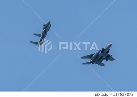 航空自衛隊 F-15 イーグル 航空自衛隊 F-15 イーグル 117687872