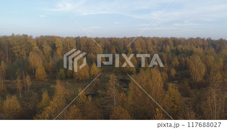 Aerial view over autumn rural landscape with field and forest in the morning 117688027