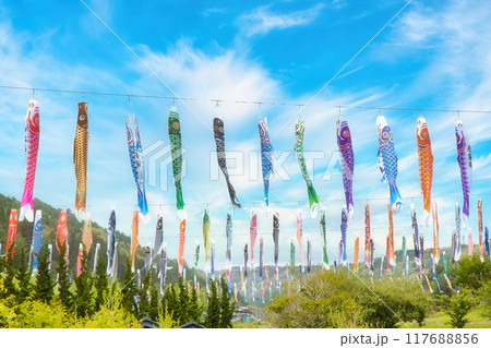 青空に泳ぐ鯉のぼり 青空に泳ぐ鯉のぼり 117688856