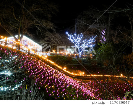 しばたファンタジーイルミネーション（船岡城址公園）【宮城県柴田町】 117689047