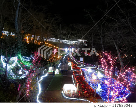 しばたファンタジーイルミネーション(船岡城址公園)【宮城県柴田町】 しばたファンタジーイルミネーション(船岡城址公園)【宮城県柴田町】 117689048