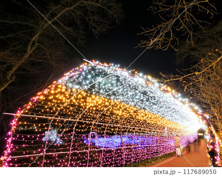 しばたファンタジーイルミネーション（船岡城址公園）【宮城県柴田町】 117689050