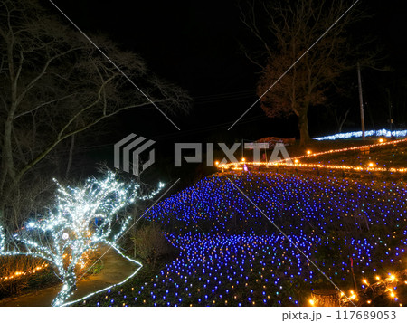しばたファンタジーイルミネーション（船岡城址公園）【宮城県柴田町】 117689053