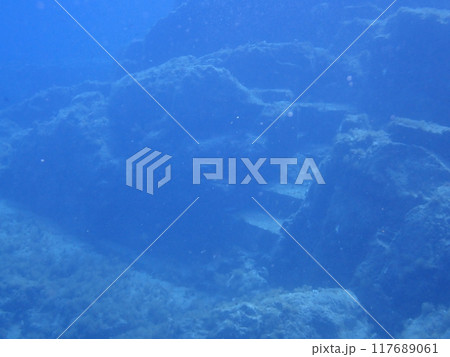 青い海の中にある特徴的な岩場、冠島のトドグリにある海底遺跡と呼ばれる地形 117689061