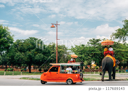 Ayutthaya Historical Park elephant tour in Thailand 117689143