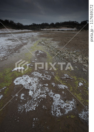 Saltpeter on the floor of a lagoon in a semi desert environment, La Pampa province, Patagonia, Argentina. 117689172