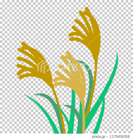 ススキのイラスト ススキのイラスト 117689288
