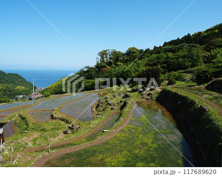 石部の棚田(伊豆・松崎町) 石部の棚田(伊豆・松崎町) 117689620