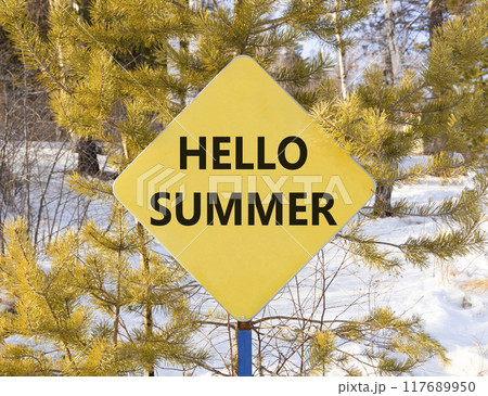 Hello summer symbol. Concept words Hello summer on beautiful yellow road sign. Beautiful forest trees snow background. Business lifestyle Hello summer concept. Copy space. 117689950