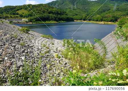 共和ダム(共和町) 共和ダム(共和町) 117690056