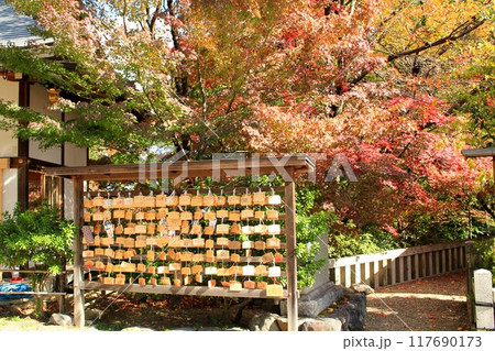 長岡天満宮紅葉 長岡天満宮紅葉 117690173