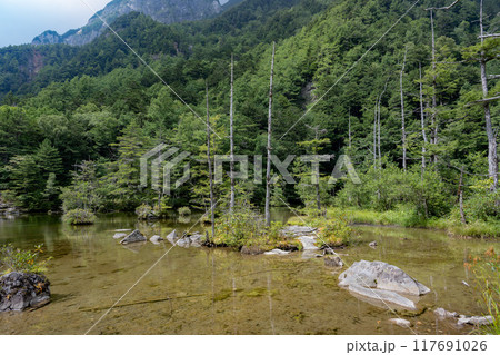 夏の上高地,明神池/長野県 夏の上高地,明神池/長野県 117691026
