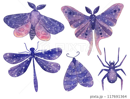 Cosmic insect. Boho magic butterflies, dragonfly, spider with purple space elements and stars Cosmic insect. Boho magic butterflies, dragonfly, spider with purple space elements and stars 117691364