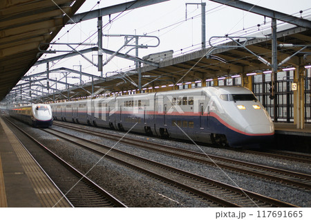 新幹線 E1系MaxとE2系あさま 新幹線 E1系MaxとE2系あさま 117691665