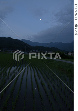 北杜市白州町の夜明けの残月映す田植えの済んだ水田 117692171
