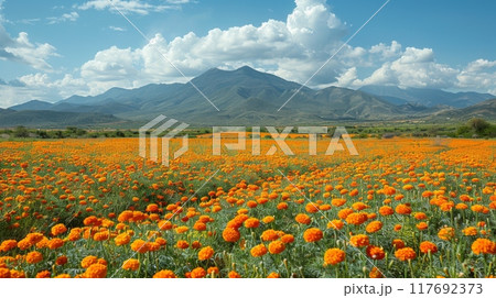 Day of the Dead celebration in Mexico 117692373