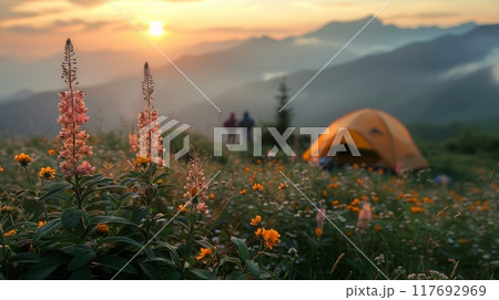 focus on flowers, tourist tent in mountains valley. soft backlight, light fog. concept of travel and adventure 117692969