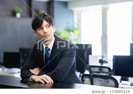 ビジネスマン ビジネスマン 117693124