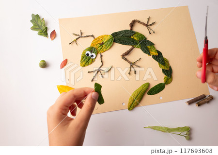 Lizard creatively depicted with natural materials on beige paper background. 117693608