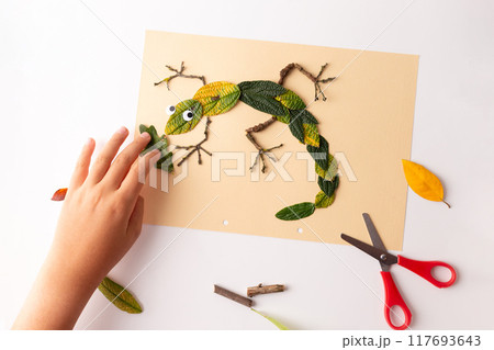 abstract lizard made of autumn leaves, foliage flat lay, 117693643