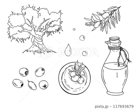 Set of olive tree, oil glass jug, oil drops, olive fruits and branches in oil bowl from top view. Hand drawn botanical line art, vector illustration. For cards, menu, product and italian or greek or 117693679