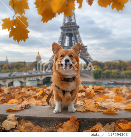 a dog corgi travel in france paris a dog corgi travel in france paris 117694308
