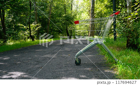 sale shop shopping trolley market business wood store purchase timber supermarket cart buy 117694627