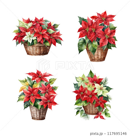 Christmas bouquets arranged from red poinsettia flowers. Happy holiday greenery. Watercolor style 117695146