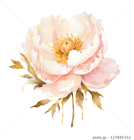 White-pink peony with gold Watercolor vector. Botanical flower on an isolated white background 117695152