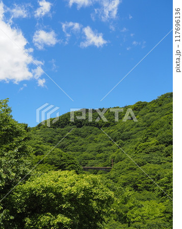 碓氷峠の廃線跡ハイキングルート 碓氷峠の廃線跡ハイキングルート 117696136