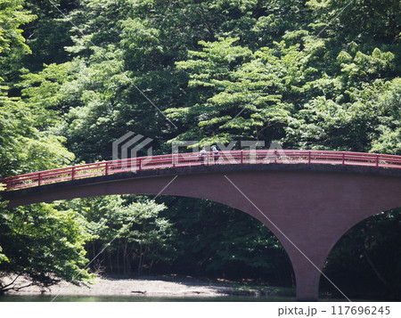 碓氷峠の廃線跡ハイキングルート 碓氷峠の廃線跡ハイキングルート 117696245