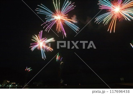 夏の夜空を彩る花火 夏の夜空を彩る花火 117696438