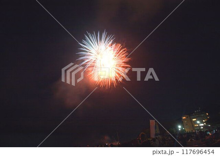 夏の夜空に咲く花火 117696454