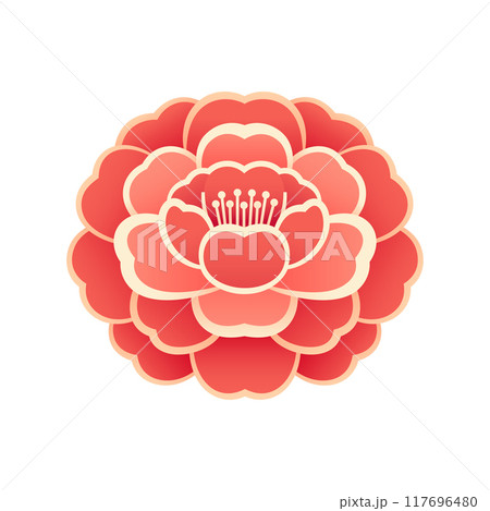 Camellia vector illustration isolated on white Camellia vector illustration isolated on white 117696480