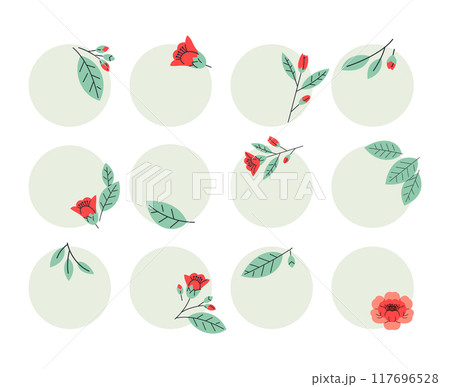 Set of simple compositions with flowers, buds and leaves 117696528