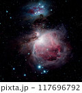 オリオン座大星雲 117696792