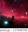 馬頭星雲 117696793