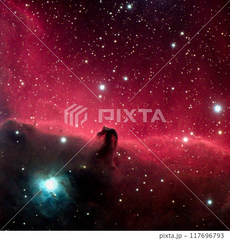 馬頭星雲 117696793